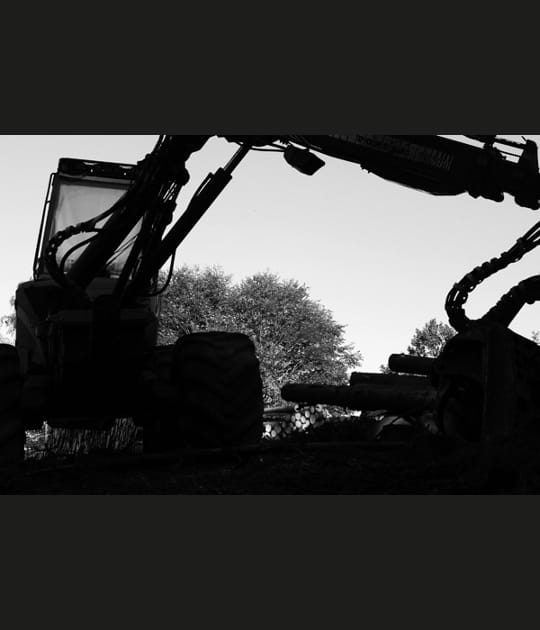 Des machines et des arbres