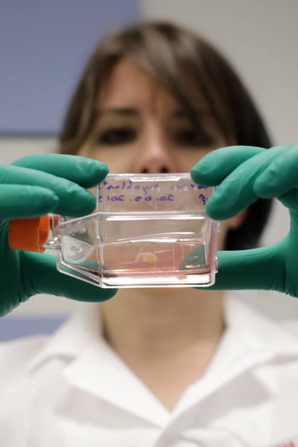 La viande in vitro, pas encore pour tout de suite&hellip;
