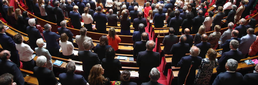 Loi Duplomb&nbsp;: qui sont les d&eacute;put&eacute;s qui ont vot&eacute; pour et ceux qui ont vot&eacute; contre&nbsp;?