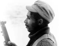 La guerre d'Algérie : Les chemins de la rébellion