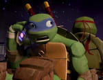 Les Tortues Ninja