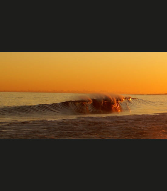 Une vague en or