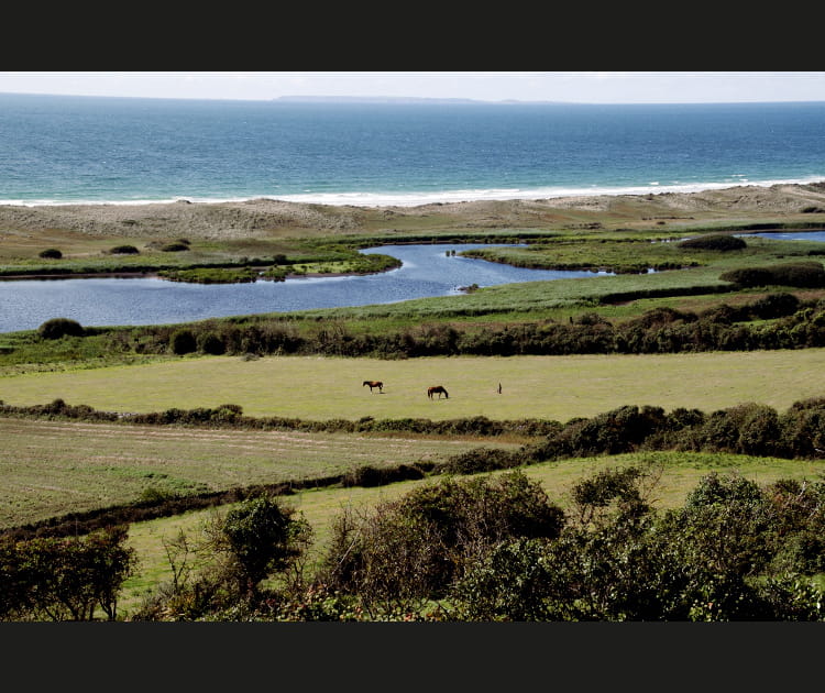 Marais du Cotentin