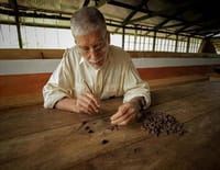 Les maîtres du chocolat