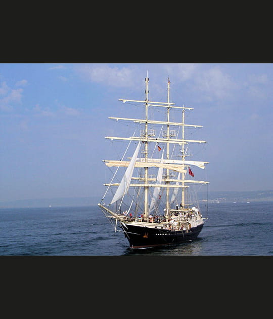 Le Tenacious