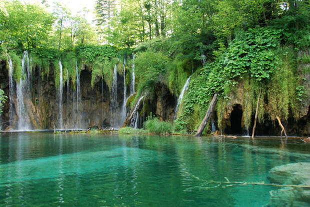 Un véritable labyrinthe naturel
