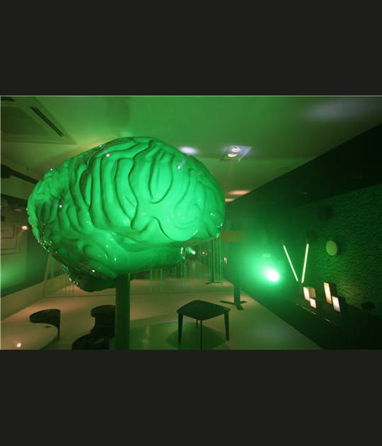 Le cerveau, le clou de l'installation