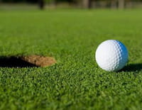 Golf : US Open