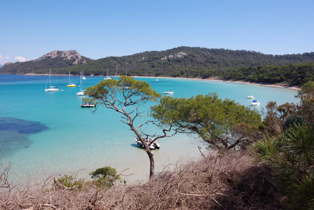 La Plage de Notre-Dame à Porquerolles