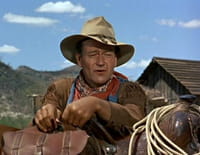 Hondo, l'homme du désert