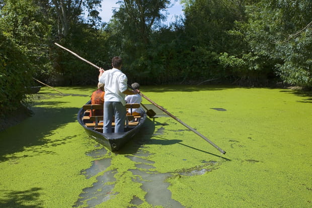 Chemin de lenticules