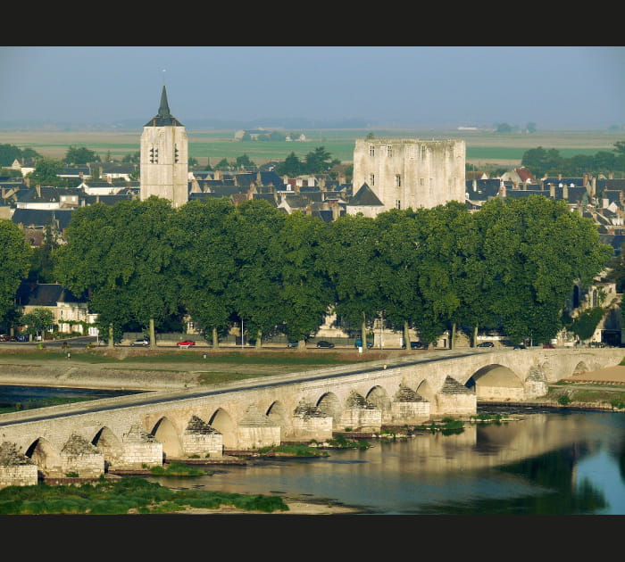 Le ch&acirc;teau Dunois