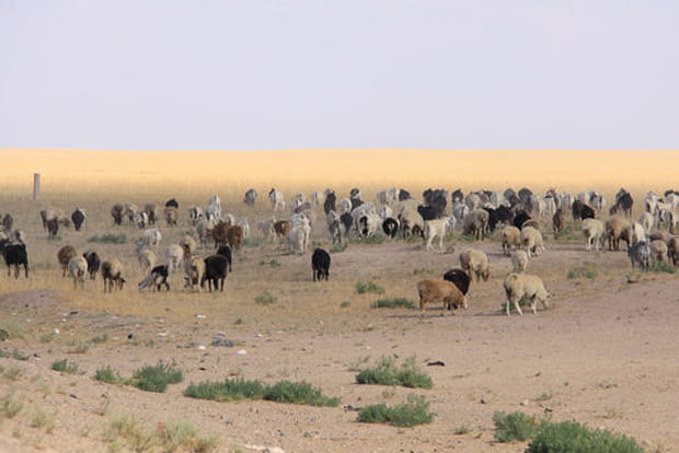 Le commencement du désert