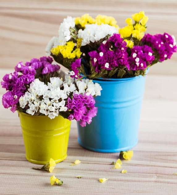 Misez sur les fleurs
