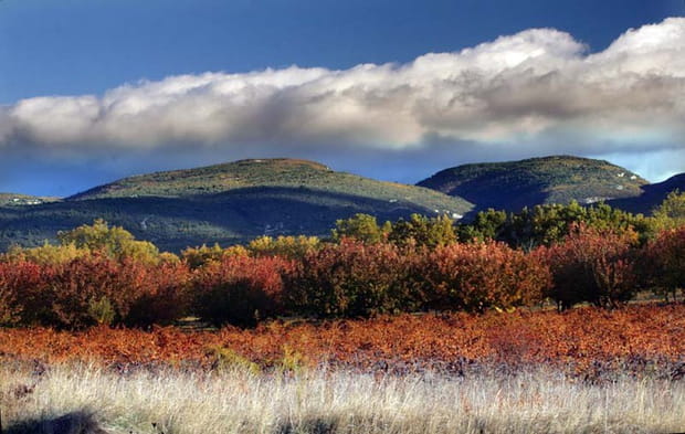 Le massif du Luberon