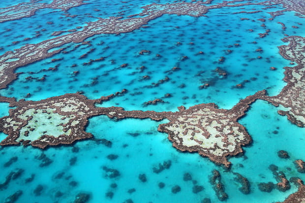 La Grande barrière de corail en Australie