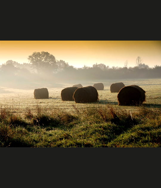 Moissons