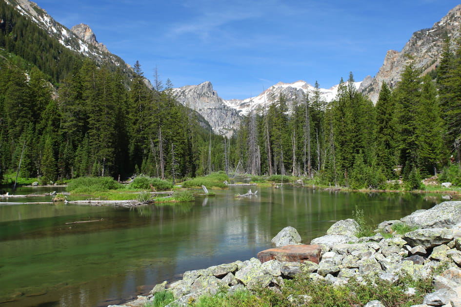 Le parc national de Grand Teton, une jolie peinture