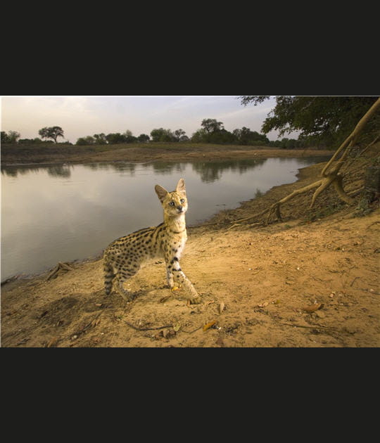 1er prix photo &quot;Nature&quot;