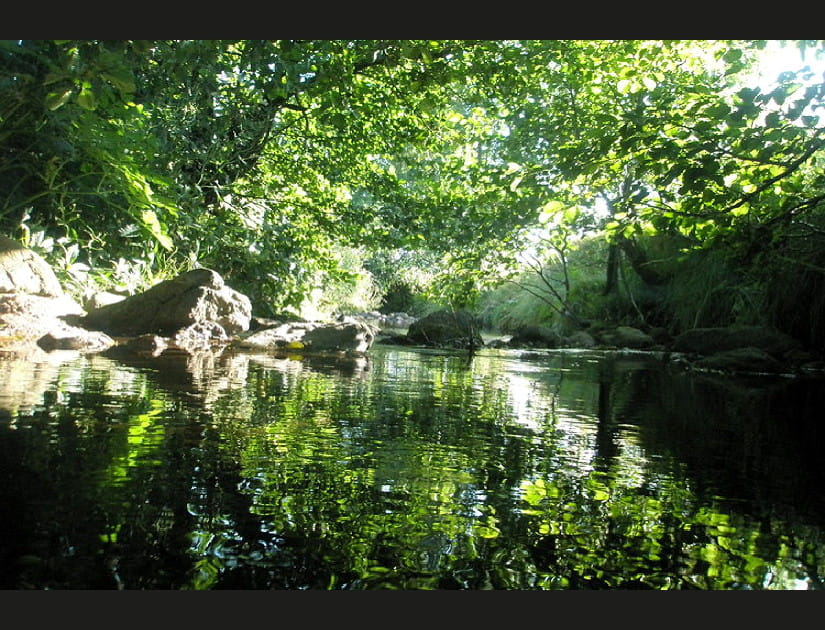 Les sources de la Sem&egrave;ne