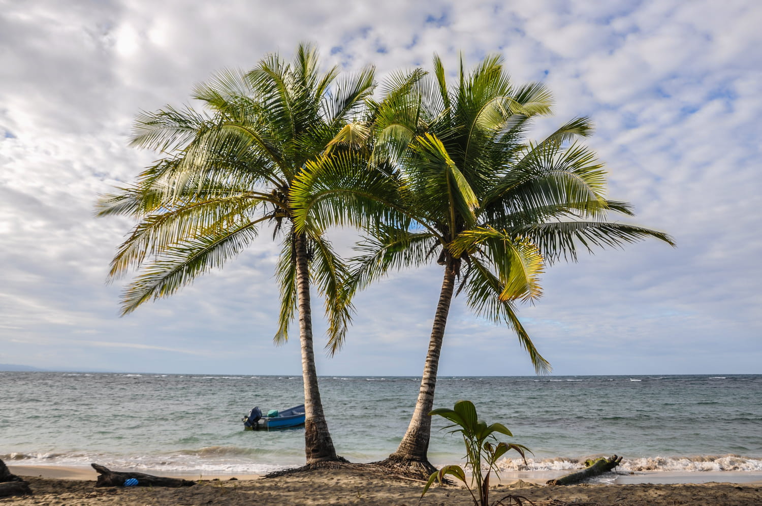 Séisme et risque de tsunami à la Guadeloupe : ce que l'on sait