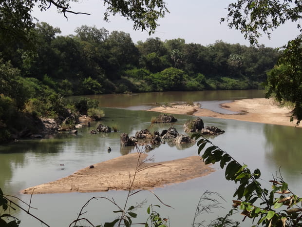Parc de la Bénoué : à la quête des dernières girafes du Kordofan