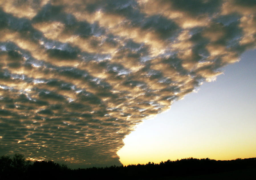 Barbe de nuage