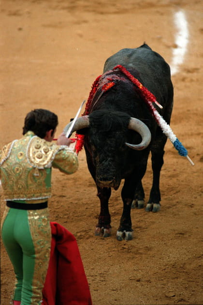 Des cornes sci&eacute;es durant la corrida&nbsp;?