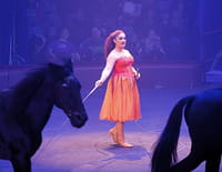 Une saison au cirque
