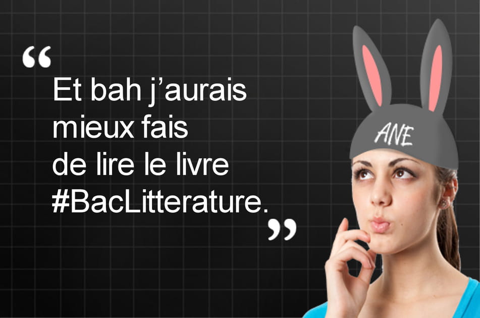 Litt&eacute;rature sans livre