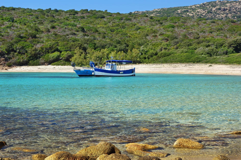 La plage de la Cala di Conca, un cadre idyllique et sauvage en Corse-du-Sud