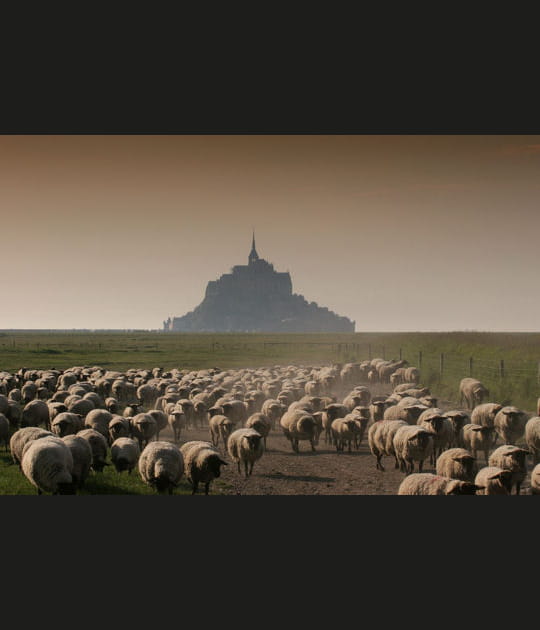 Le Mont-Saint-Michel&nbsp;: l'appel de l'ange