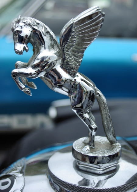 Mascotte Bentley
