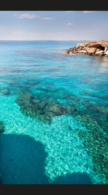 Le monstre marin d'Ayia Napa, pr&egrave;s de&nbsp;Chypre