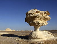 Planète Terre : aux origines de la vie : Le Sahara