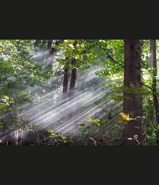 Les rayons du soleil