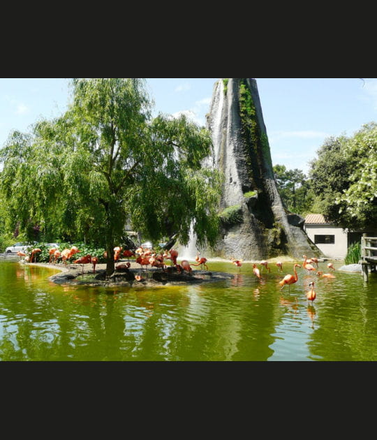 Le zoo de la Palmyre &agrave; Royan