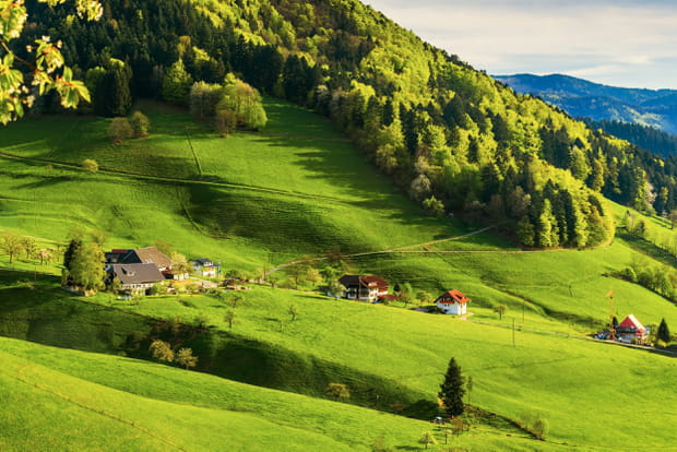 La forêt noire, en Allemagne