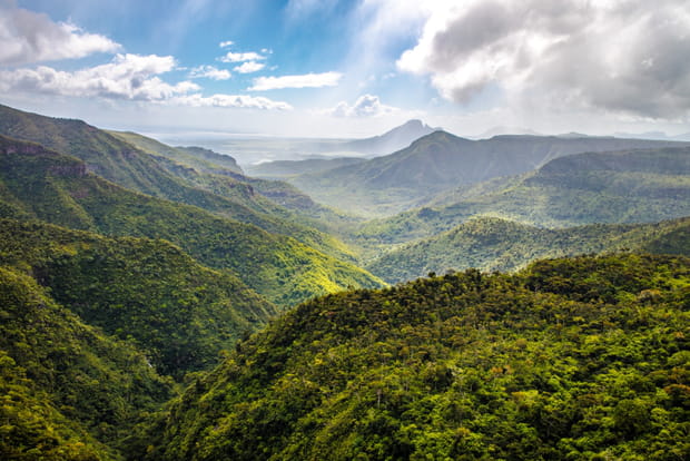 Ces spots inoubliables ou surprenants de l'Ile Maurice : Parc national des Gorges de la Rivière Noire