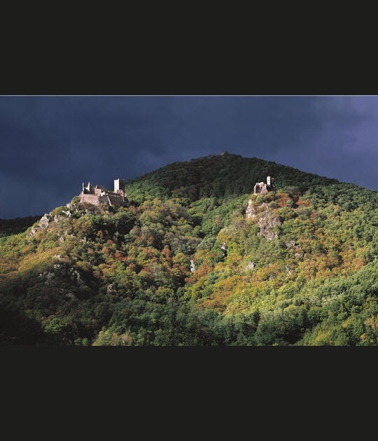 Les ch&acirc;teaux de Ribeauvill&eacute;