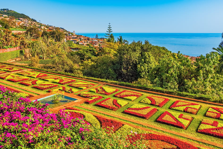20&nbsp;lieux coup de c&oelig;ur &agrave; Mad&egrave;re&nbsp;: Jardim Bot&acirc;nico