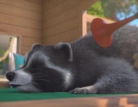 Mike, une vie de chien : A la niche !
