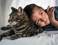 Drôles d'amis : Mon chat, ce héros