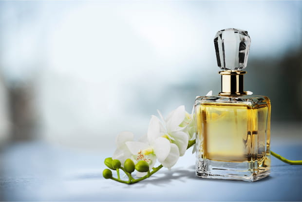 Les parfums de Grasse