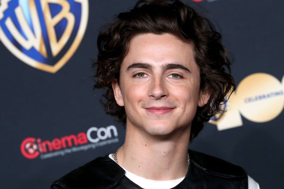 Timoth&eacute;e Chalamet, jackpot avec deux gros films