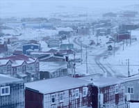 De l'Afrique à l'Arctique