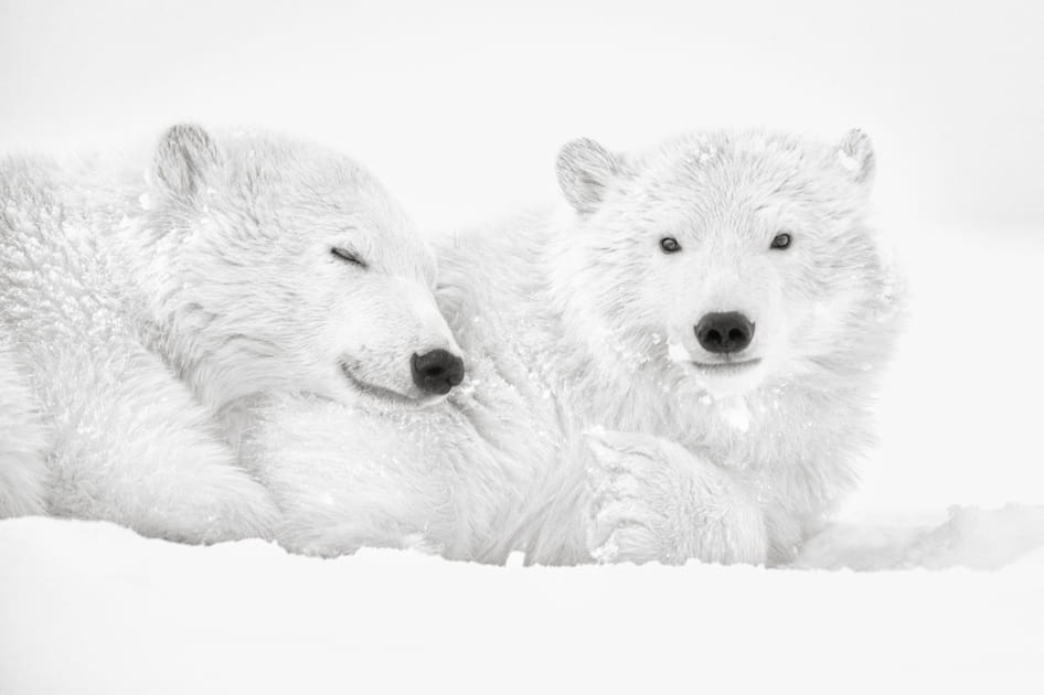 Entre copains