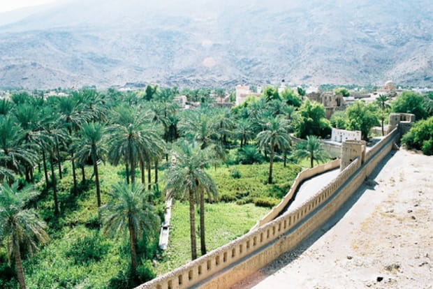 La palmeraie de Roustaq