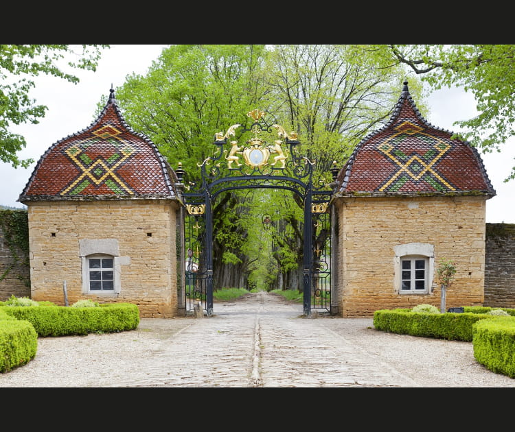 Le ch&acirc;teau de Pierreclos