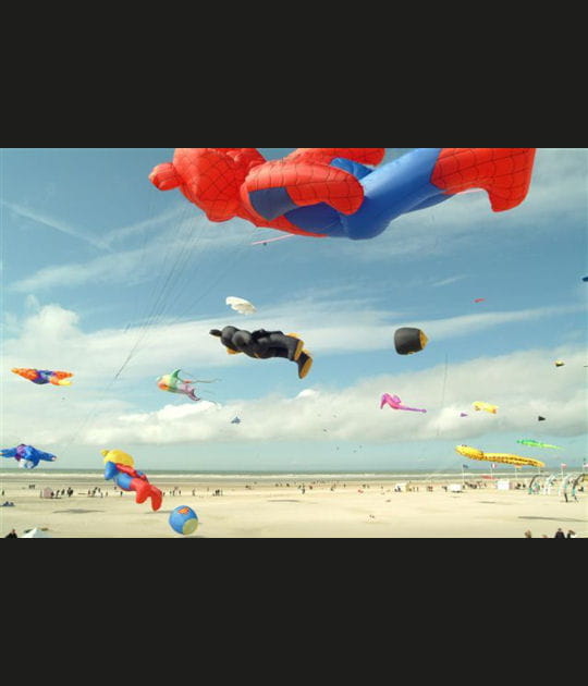 Les super-ours